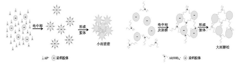 圖1 硫酸鋁與聚氯化鋁的絮凝機(jī)理圖